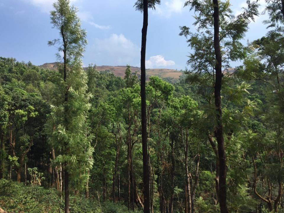 Cloud 9 Homestay Attigundi エクステリア 写真