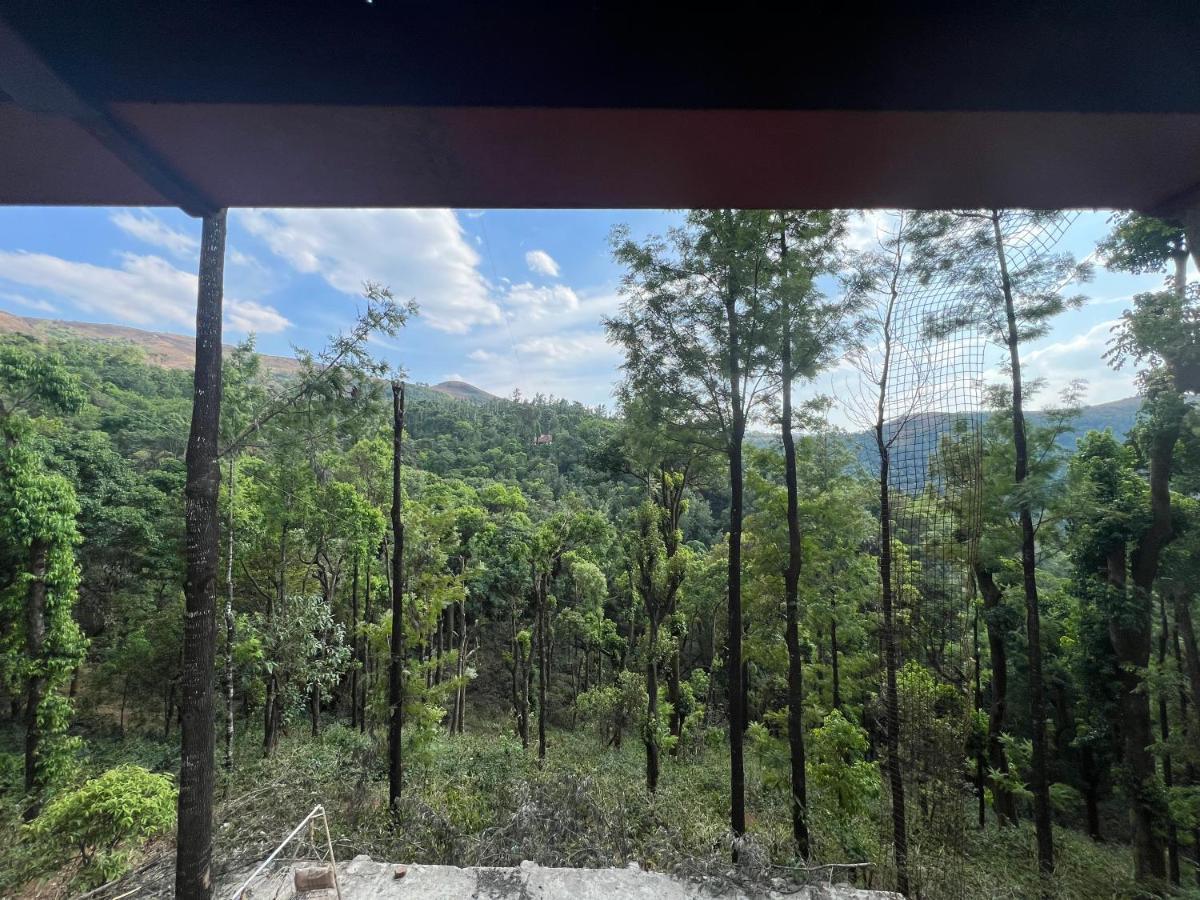 Cloud 9 Homestay Attigundi エクステリア 写真