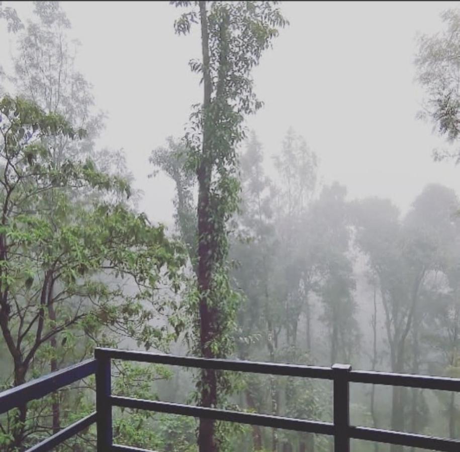 Cloud 9 Homestay Attigundi エクステリア 写真